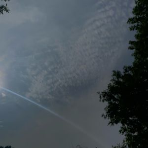 Meet your Posher, Isabel